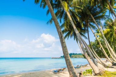 Güzel tropikal plaj ve deniz