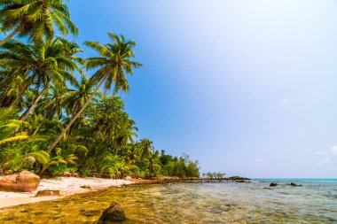 Deniz ve plaj manzara ile güzel cennet ada