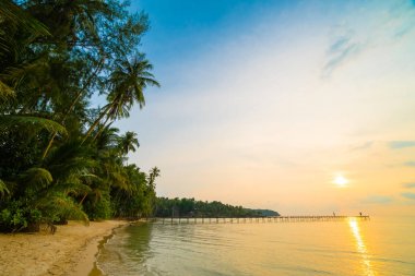 Plaj ve deniz çevresinde Hindistan cevizi hurma ile güzel cennet ada