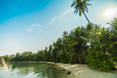 Güzel cennet ada plaj ve deniz