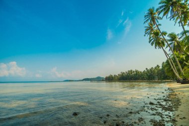 Güzel cennet ada plaj ve deniz