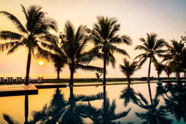 Siluet Hindistan cevizi hurma ağacının etrafında Açık Yüzme Havuzu