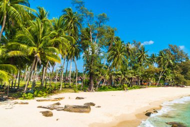 Güzel tropikal plaj ve deniz