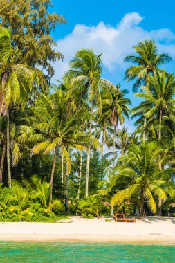 Güzel tropikal plaj ve deniz