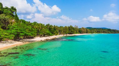 Güzel bir plaj ve deniz Hindistan cevizi hurma ağacı ile havadan görünümü