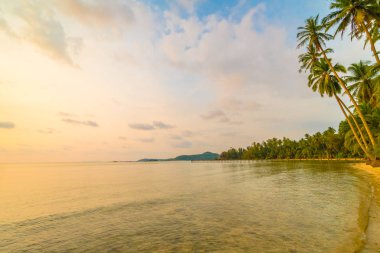 Plaj ve deniz çevresinde Hindistan cevizi hurma ile güzel cennet ada