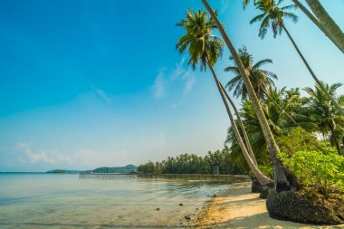 Güzel cennet ada plaj ve deniz