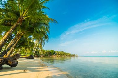 Güzel cennet ada plaj ve deniz