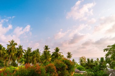Güzel cennet ada plaj ve deniz