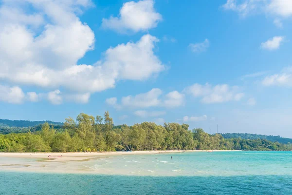 Plaj ve deniz Hindistan cevizi hurma ağacı — Stok fotoğraf