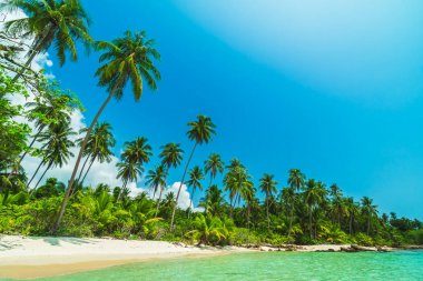 Deniz ve plaj manzara ile güzel cennet ada