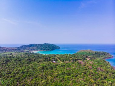 Güzel bir plaj ve deniz Hindistan cevizi hurma ağacı ile havadan görünümü