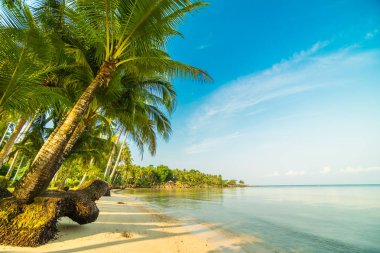 Güzel cennet ada plaj ve deniz