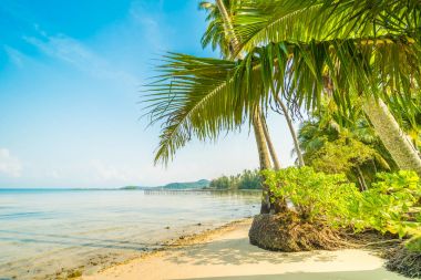 Güzel cennet ada plaj ve deniz