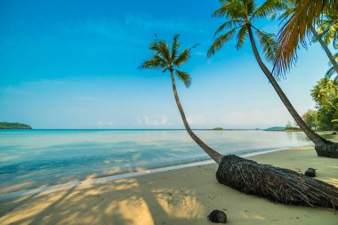 Güzel cennet ada plaj ve deniz