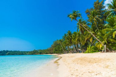 Güzel tropikal plaj ve deniz