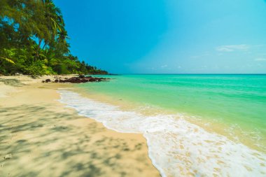 Güzel cennet tropikal plaj ve deniz