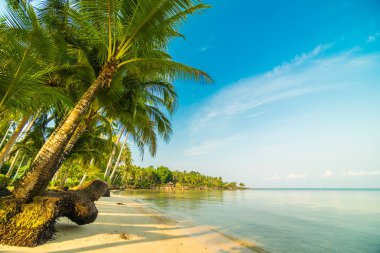 Güzel cennet ada plaj ve deniz