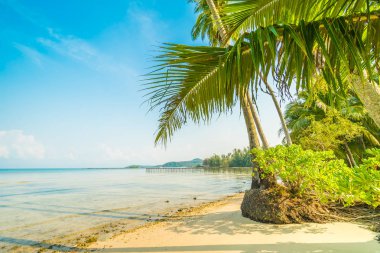 Güzel cennet ada plaj ve deniz