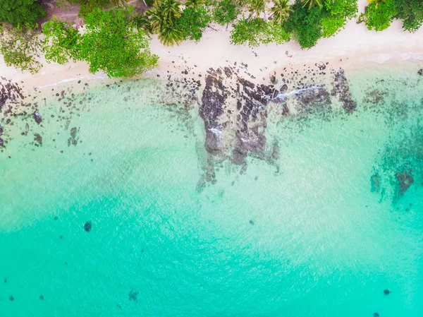 Güzel bir plaj ve deniz Hindistan cevizi hurma ağacı ile havadan görünümü — Stok fotoğraf