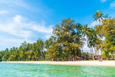 Güzel tropikal plaj ve deniz