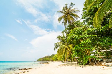 Güzel cennet ada plaj ve deniz