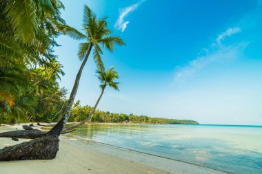 Güzel cennet ada plaj ve deniz