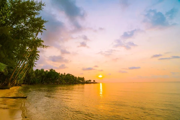 Plaj ve deniz çevresinde Hindistan cevizi hurma ile güzel cennet ada — Stok fotoğraf