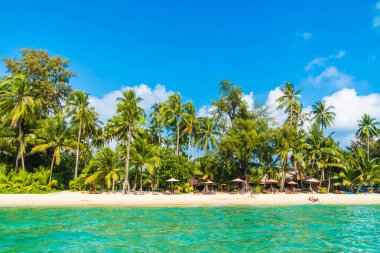 Güzel tropikal plaj ve deniz