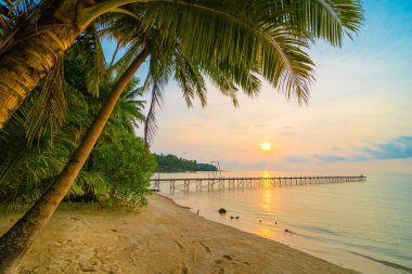 Plaj ve deniz çevresinde Hindistan cevizi hurma ile güzel cennet ada