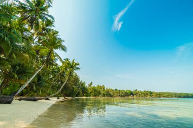 Güzel cennet ada plaj ve deniz