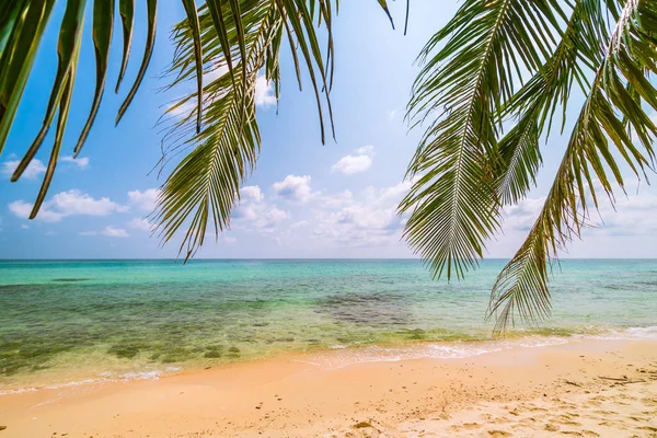 Красивий райський острів з морським і пляжним пейзажем — стокове фото