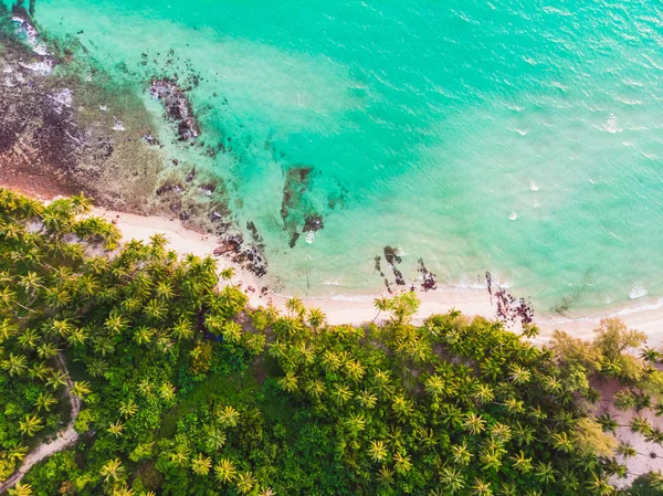 Güzel bir plaj ve deniz Hindistan cevizi hurma ağacı ile havadan görünümü — Stok fotoğraf