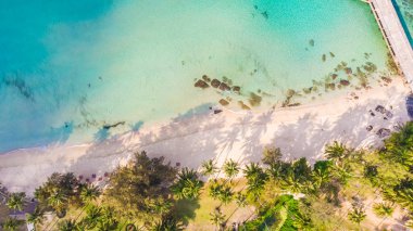 Deniz ve plaj ile havadan görünümü