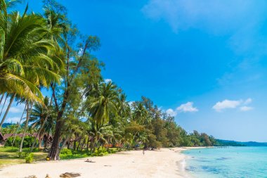 Güzel tropikal plaj ve deniz