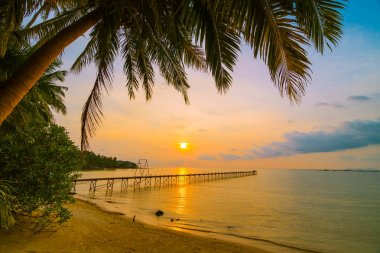 Plaj ve deniz çevresinde Hindistan cevizi hurma ile güzel cennet ada