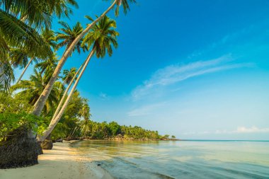 Güzel cennet ada plaj ve deniz