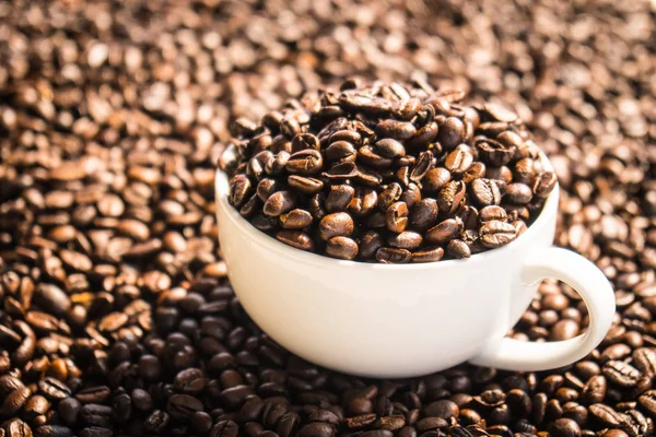 Brown coffee beans in white cup — Stock Photo, Image