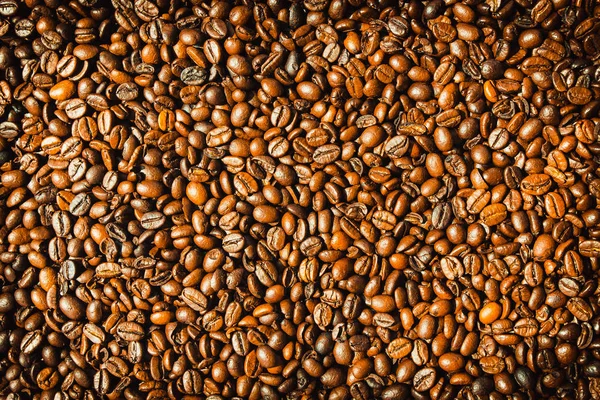 Granos de café marrón y semillas —  Fotos de Stock