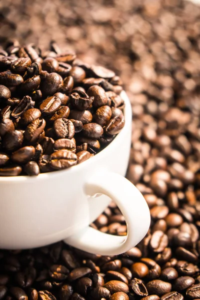 白いカップで茶色のコーヒー豆 — ストック写真