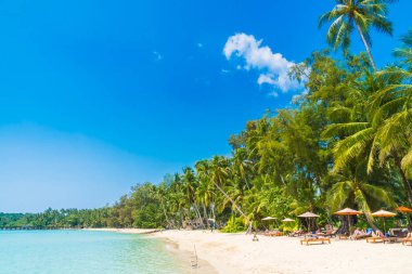 Güzel tropikal plaj ve deniz