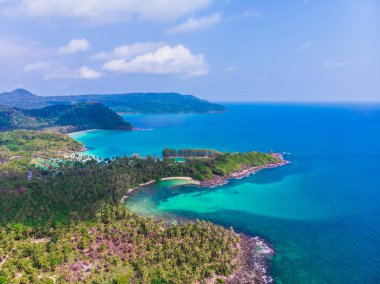 Güzel bir plaj ve deniz Hindistan cevizi hurma ağacı ile havadan görünümü