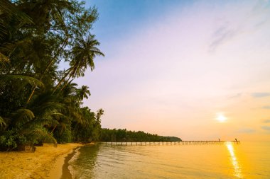Plaj ve deniz çevresinde Hindistan cevizi hurma ile güzel cennet ada