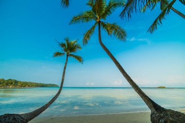 Güzel cennet ada plaj ve deniz