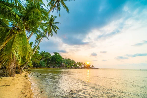 Hermosa isla paradisíaca con playa y mar alrededor de palma de coco — Foto de Stock