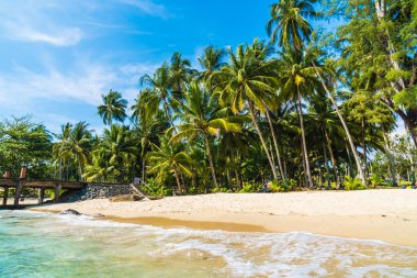 Güzel tropikal plaj ve deniz