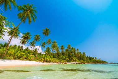 Deniz ve plaj manzara ile güzel cennet ada