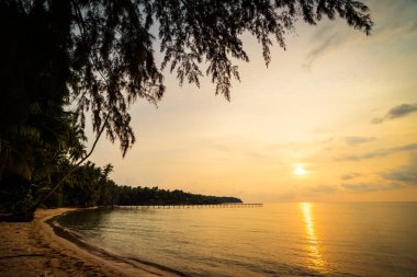 Plaj ve deniz çevresinde Hindistan cevizi hurma ile güzel cennet ada