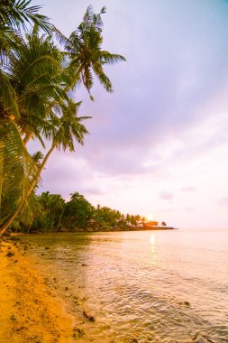 Plaj ve deniz çevresinde Hindistan cevizi hurma ile güzel cennet ada