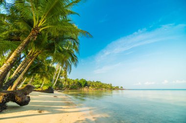 Güzel cennet ada plaj ve deniz